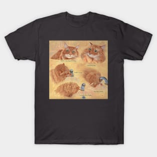 Orange Cat and Water Faucet T-Shirt